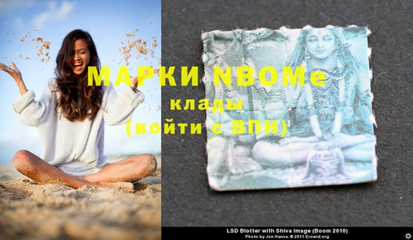 трава Аркадак