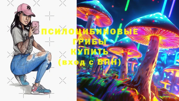 гашик Армянск