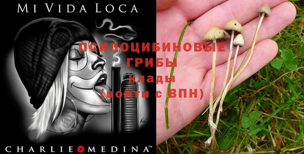трава Аркадак