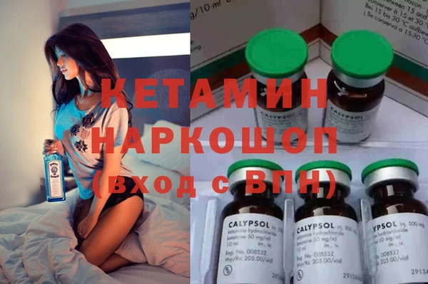 трава Аркадак