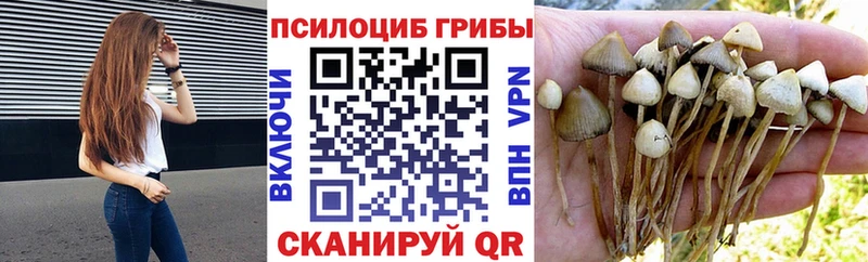 Псилоцибиновые грибы MAGIC MUSHROOMS Харабали